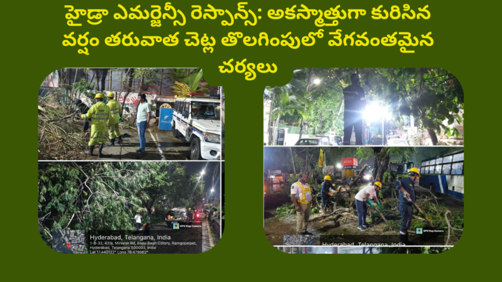 HYDRA Emergency Response Swift Action Clears Fallen Trees After Sudden City Storm